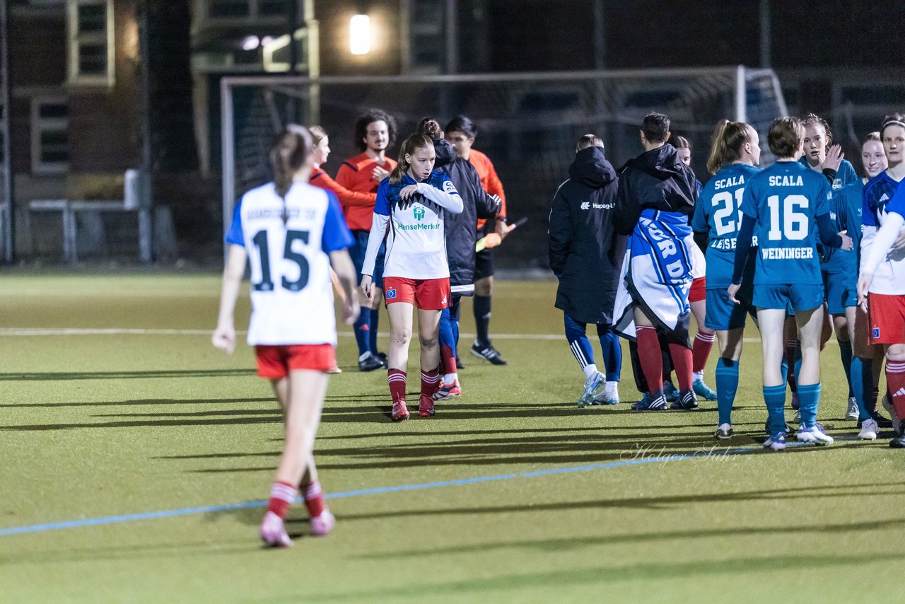 Bild 510 - F SC Alstertal-Langenhorn - Hamburger SV 3 : Ergebnis: 2:2